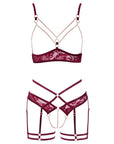 Abierta Fina Open Red Lace Set