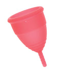 Mae B Intimate Health 2 Large Menstrual Cups