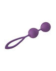 Flirts Kegel Balls Purple