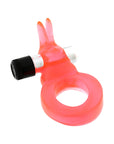 Jelly Rabbit Vibrating Cock Ring