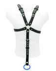 House Of Eros 1 Inch Male Harness And Cock Strap