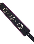 Rouge Garments Black And Purple Padded Collar