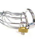 Rouge Stainless Steel Chasity Cock Cage With Padlock