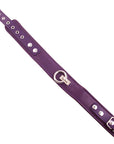 Rouge Garments Plain Purple Leather Collar