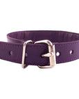 Rouge Garments Purple Studded ORing Studded Collar