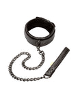 Boundless Collar and Leash