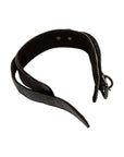 Boundless Collar and Leash