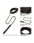 Boundless Collar and Leash