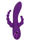 California Dreaming Long Beach Bootylicious Vibrator