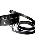 SportSheets Leather Leash And Collar